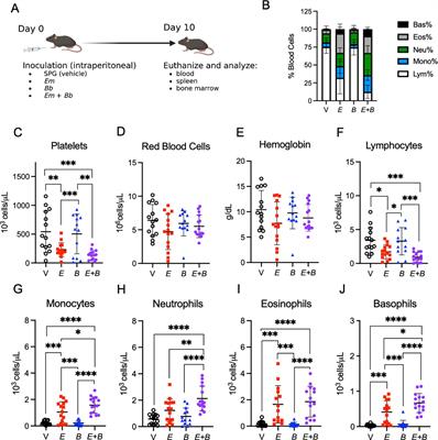 Impact of E. muris infection on B. burgdorferi–induced joint pathology in mice